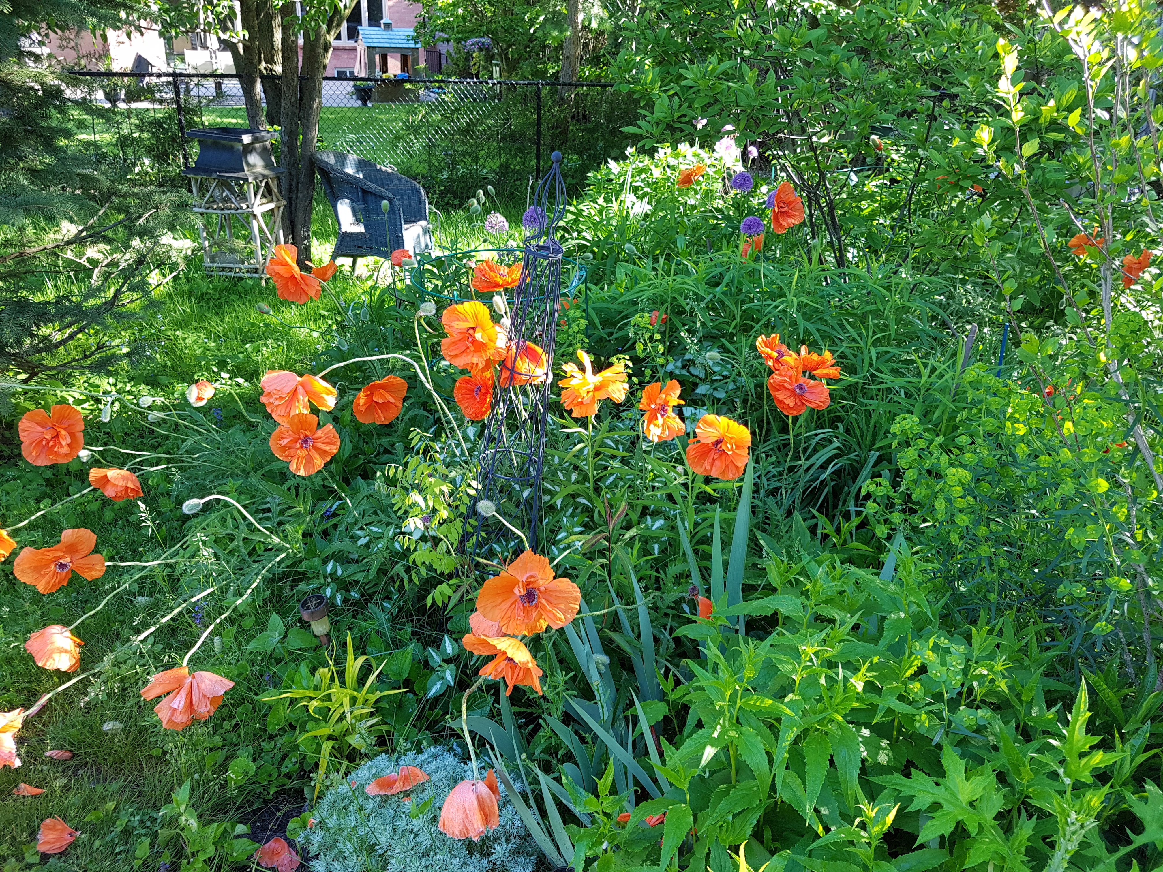 Spring